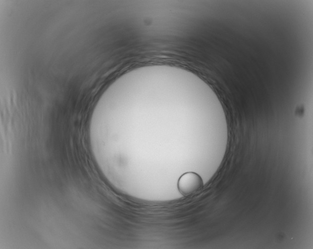 X0000114690566200910211057