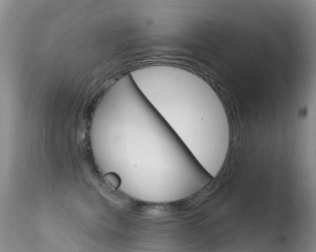 X0000114690567200910211057