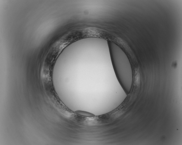X0000114690573200910211057