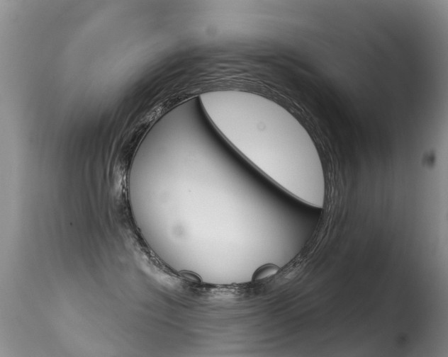 X0000114690574200910211057