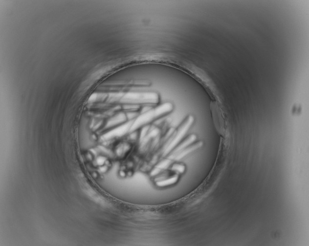 X0000114690577200910211056