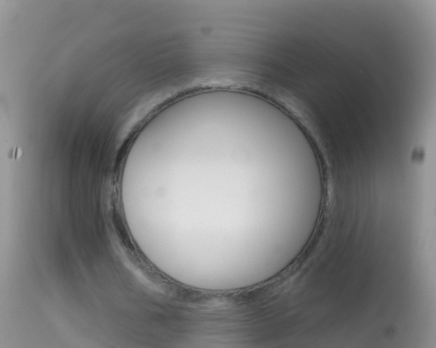 X0000114690578200910211056