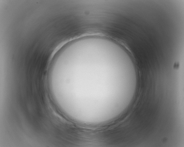 X0000114690579200910211056