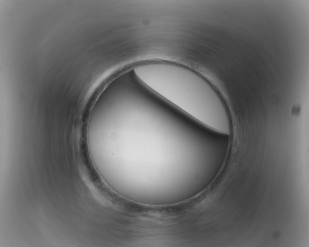 X0000114690580200910211056