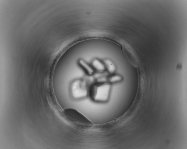 X0000114690581200910211056