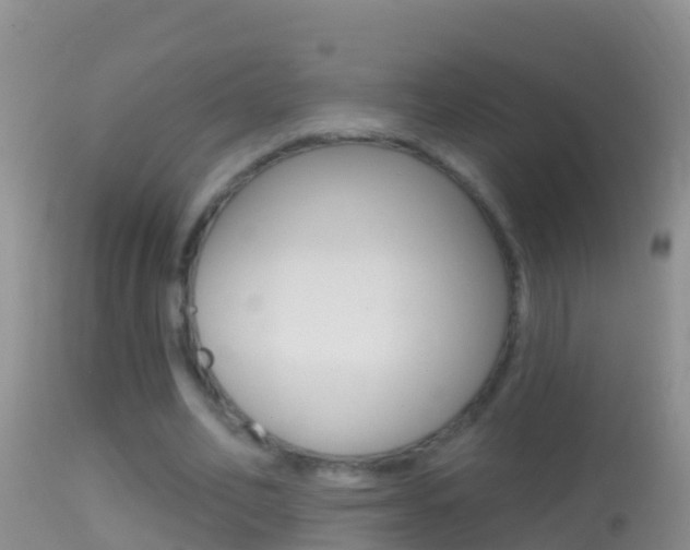 X0000114690582200910211056