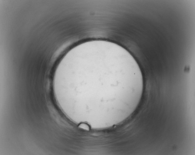 X0000114690584200910211056