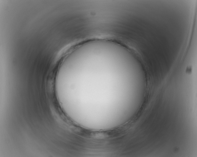 X0000114690587200910211056
