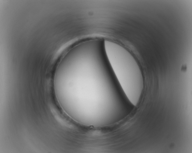 X0000114690588200910211056