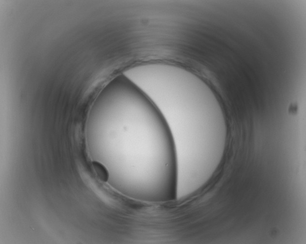 X0000114690589200910211056
