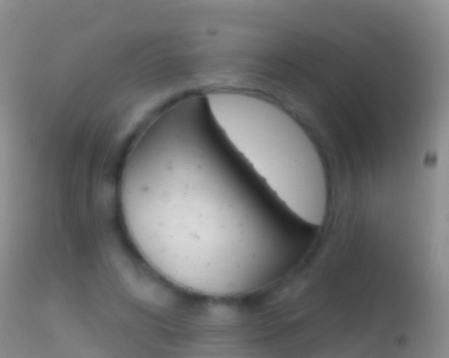 X0000114690592200910211056