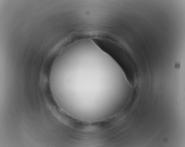 X0000114690593200910211056