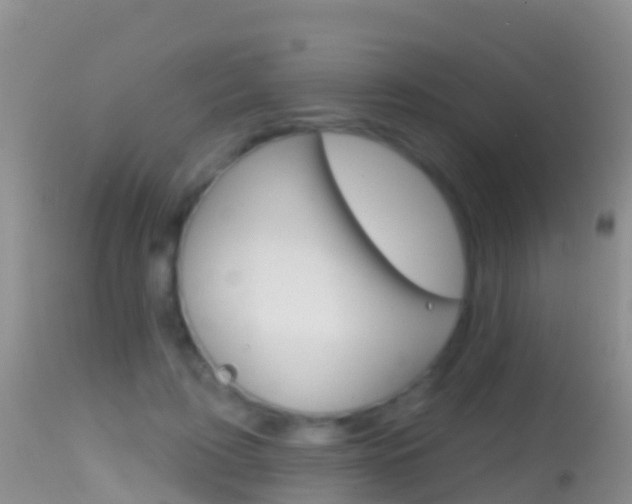 X0000114690595200910211056
