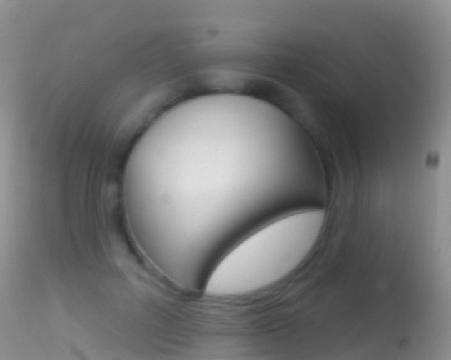 X0000114690600200910211056