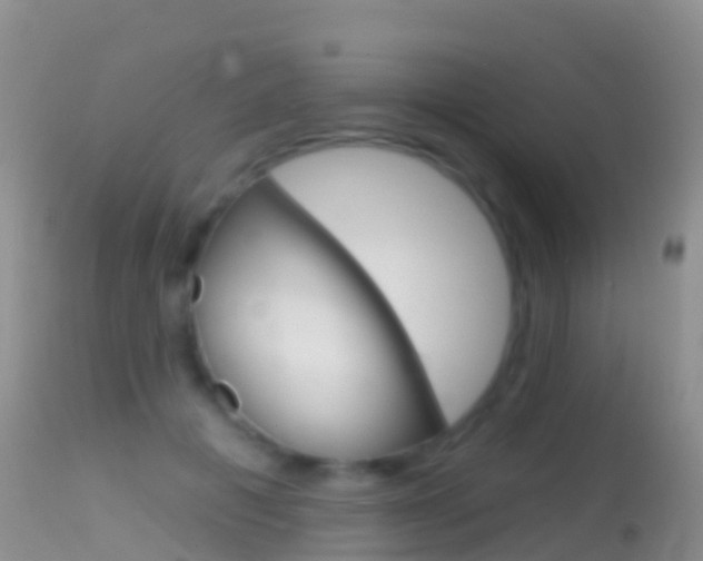 X0000114690601200910211056