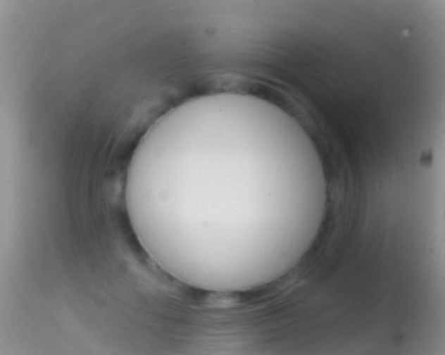 X0000114690602200910211056