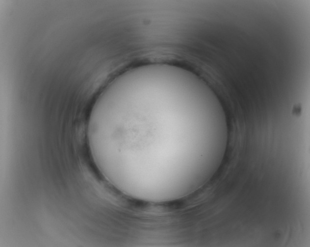 X0000114690604200910211056