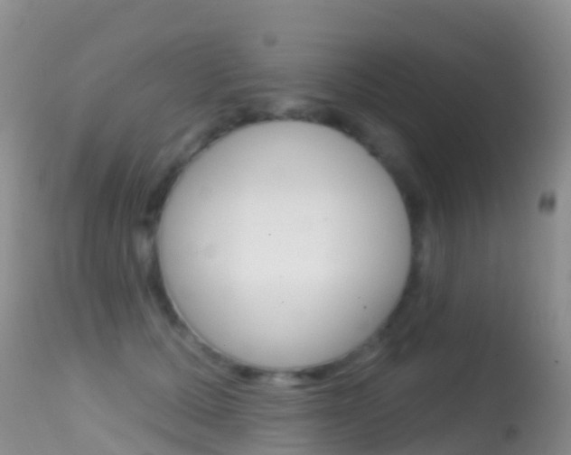 X0000114690607200910211056