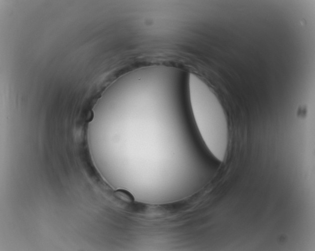 X0000114690608200910211056