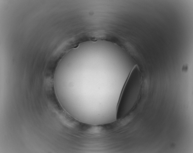 X0000114690609200910211056