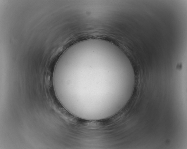 X0000114690615200910211055