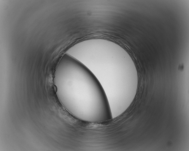 X0000114690617200910211055