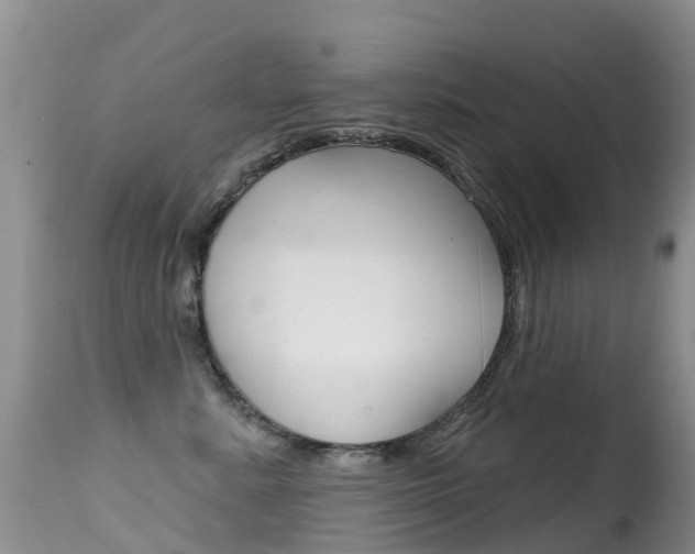 X0000114690619200910211055