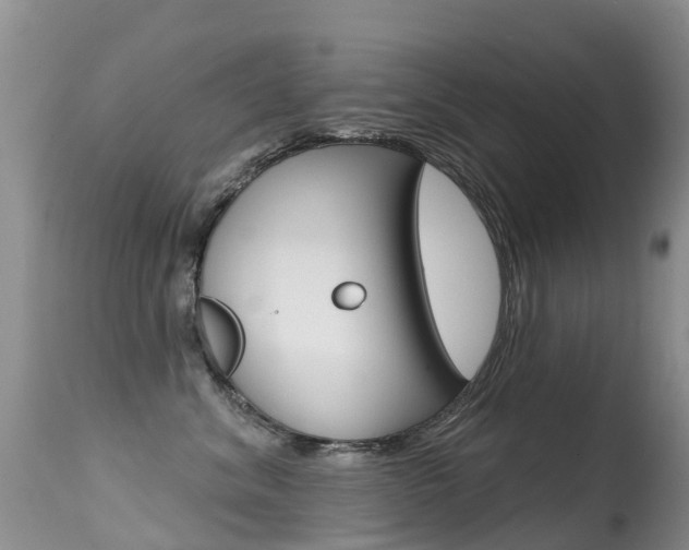 X0000114690620200910211055