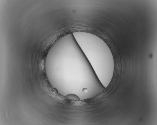 X0000114690621200910211055
