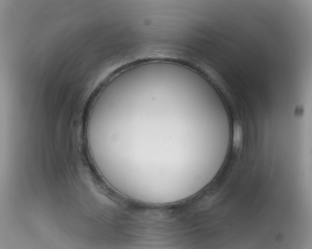 X0000114690627200910211055