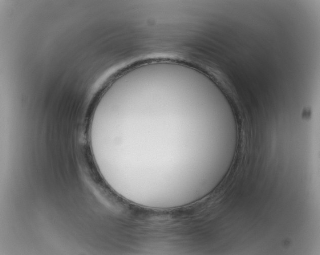 X0000114690628200910211055