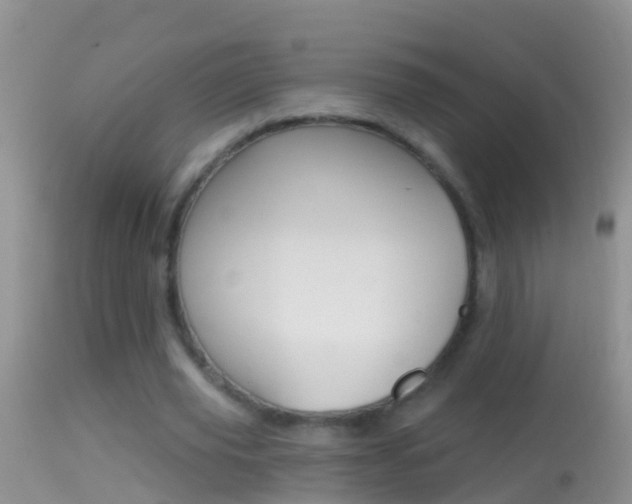 X0000114690629200910211055