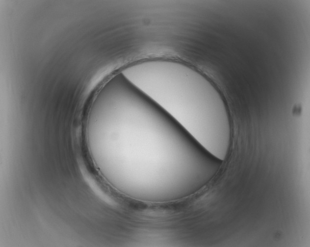 X0000114690630200910211055