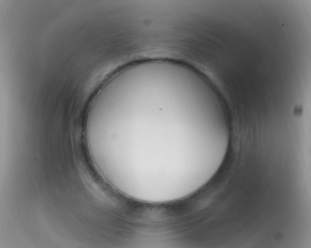 X0000114690631200910211055