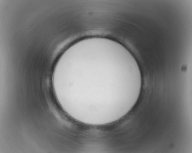 X0000114690632200910211055