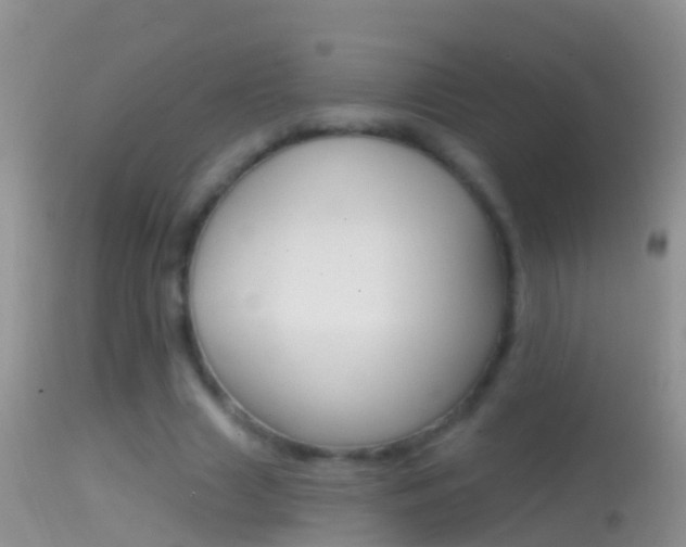 X0000114690633200910211055