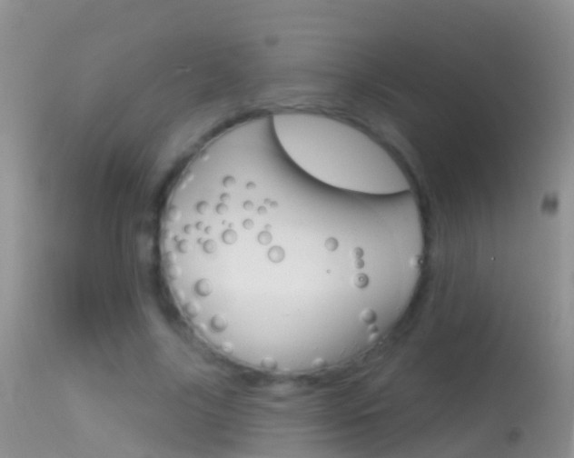 X0000114690635200910211055