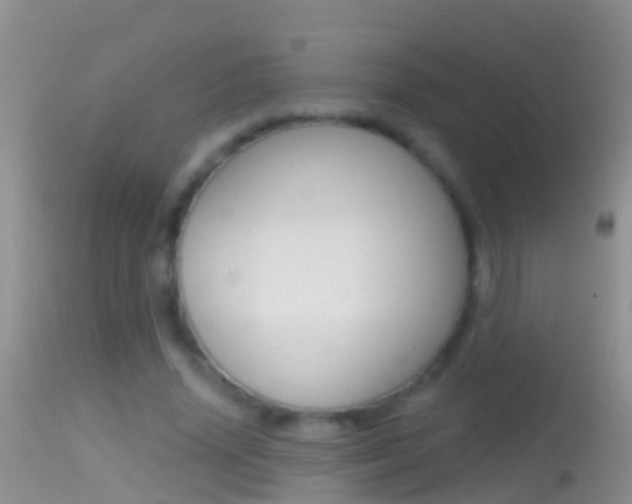 X0000114690636200910211055