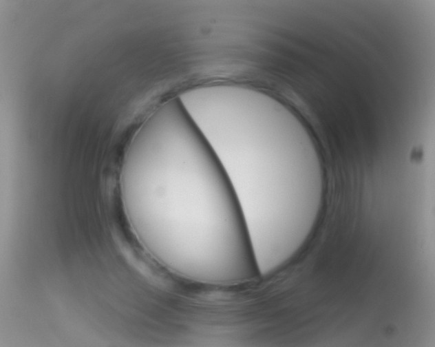 X0000114690637200910211055