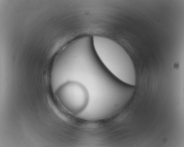 X0000114690638200910211055