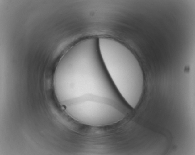 X0000114690640200910211055