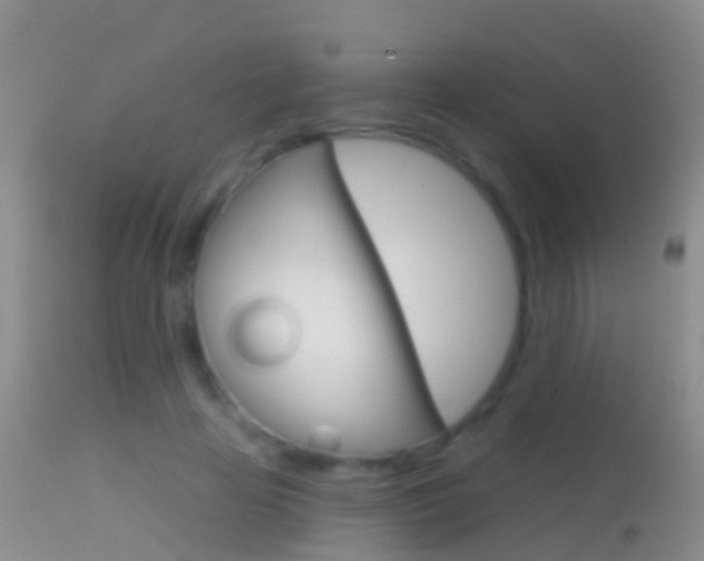 X0000114690641200910211055
