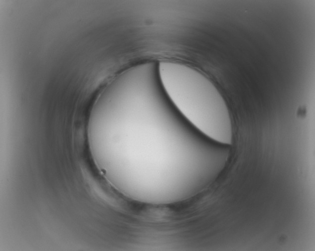 X0000114690642200910211055