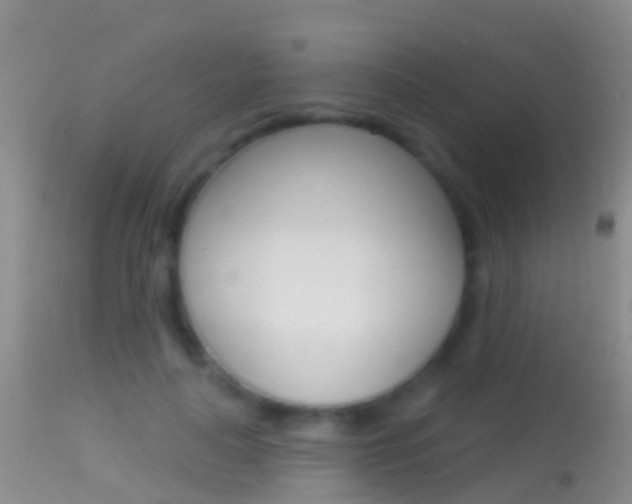X0000114690643200910211055