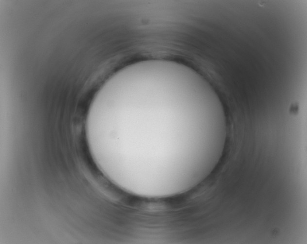X0000114690645200910211055