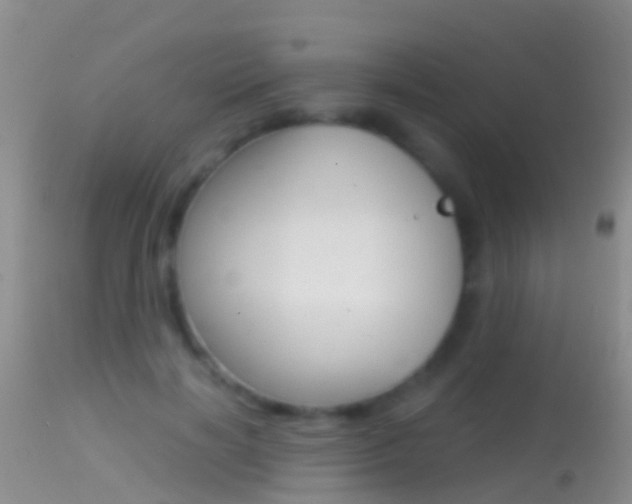 X0000114690646200910211055