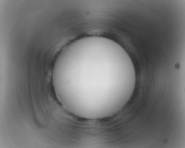 X0000114690652200910211055