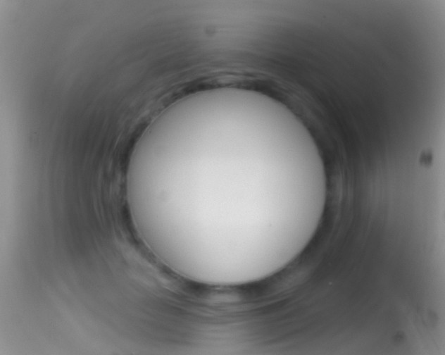 X0000114690653200910211055