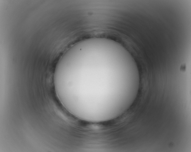 X0000114690654200910211055