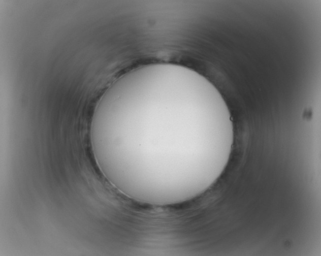 X0000114690656200910211055